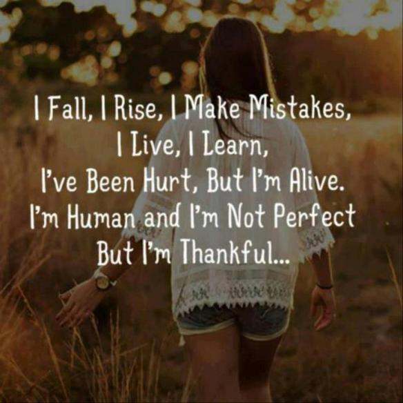 I Fall, I Rise, I Make Mistakes